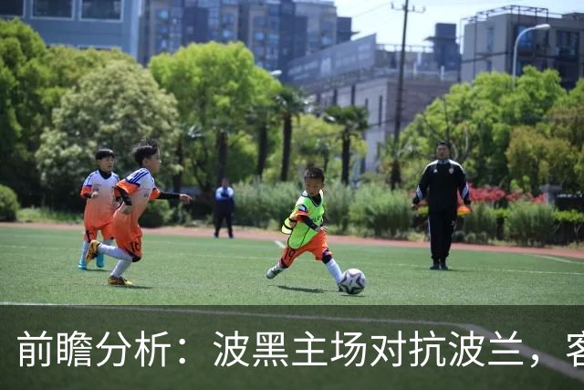 前瞻分析：波黑主场对抗波兰，客队有望不败